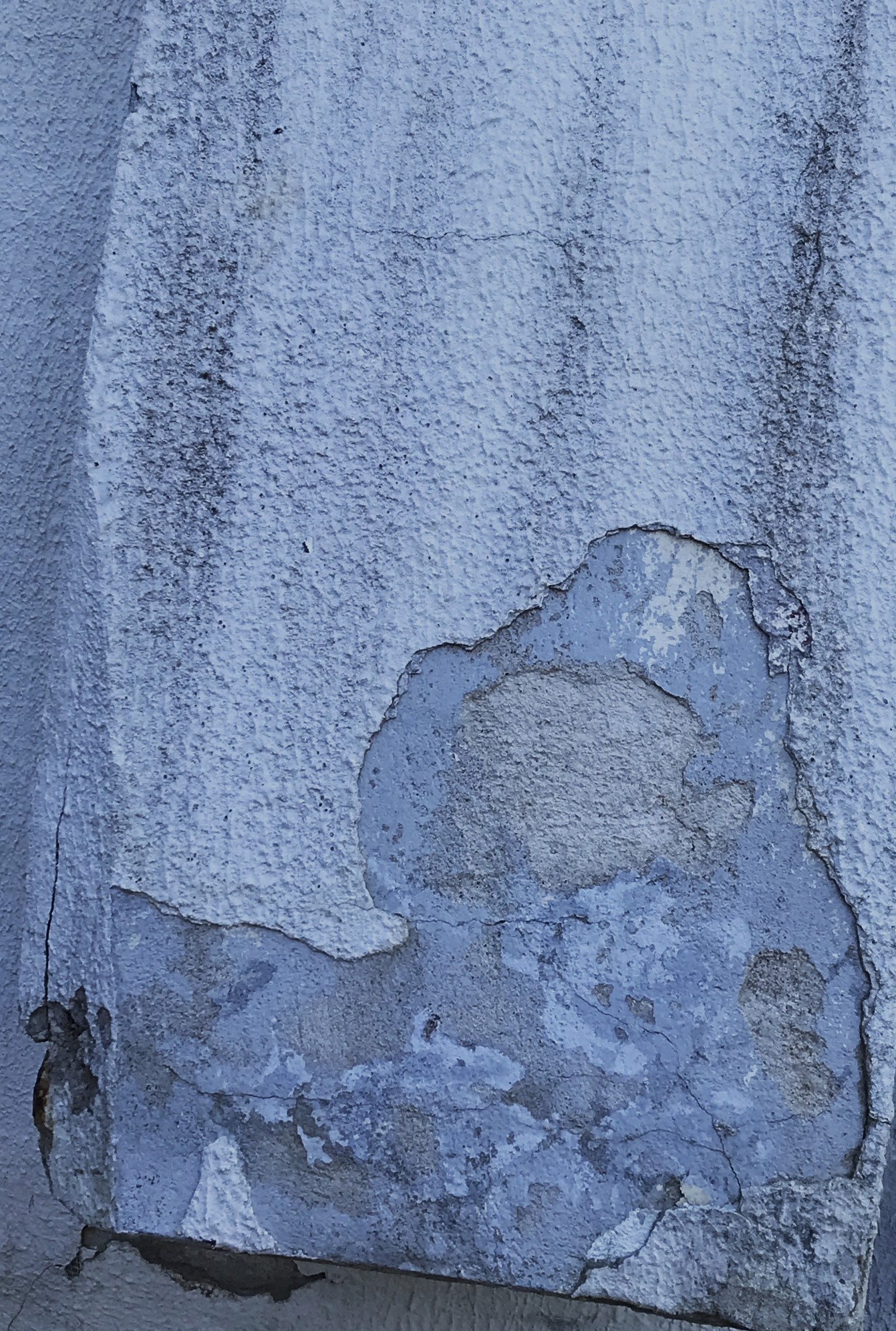Portrait of an Old Lady