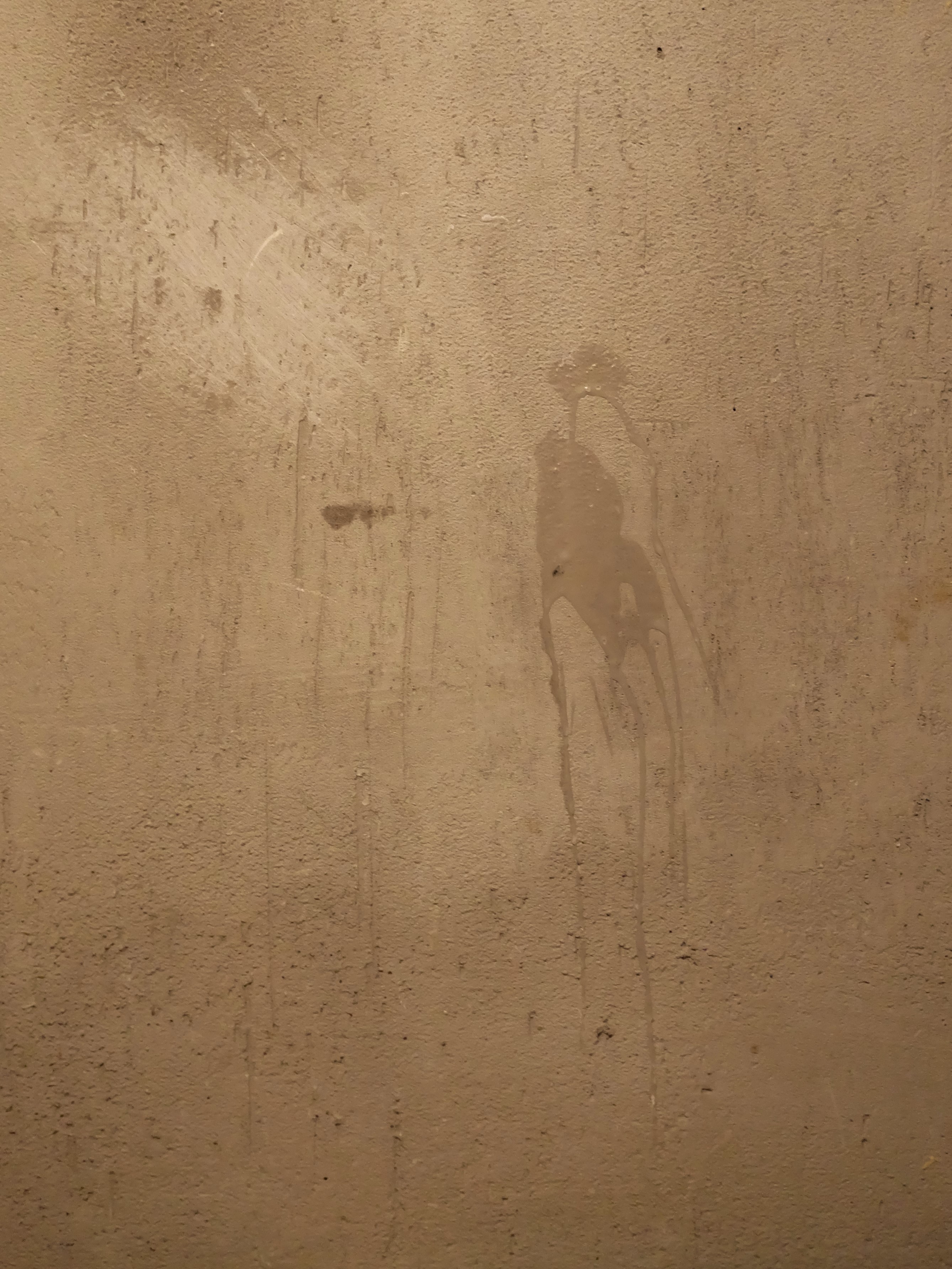 Don Quixote and the Sun of Andalusia