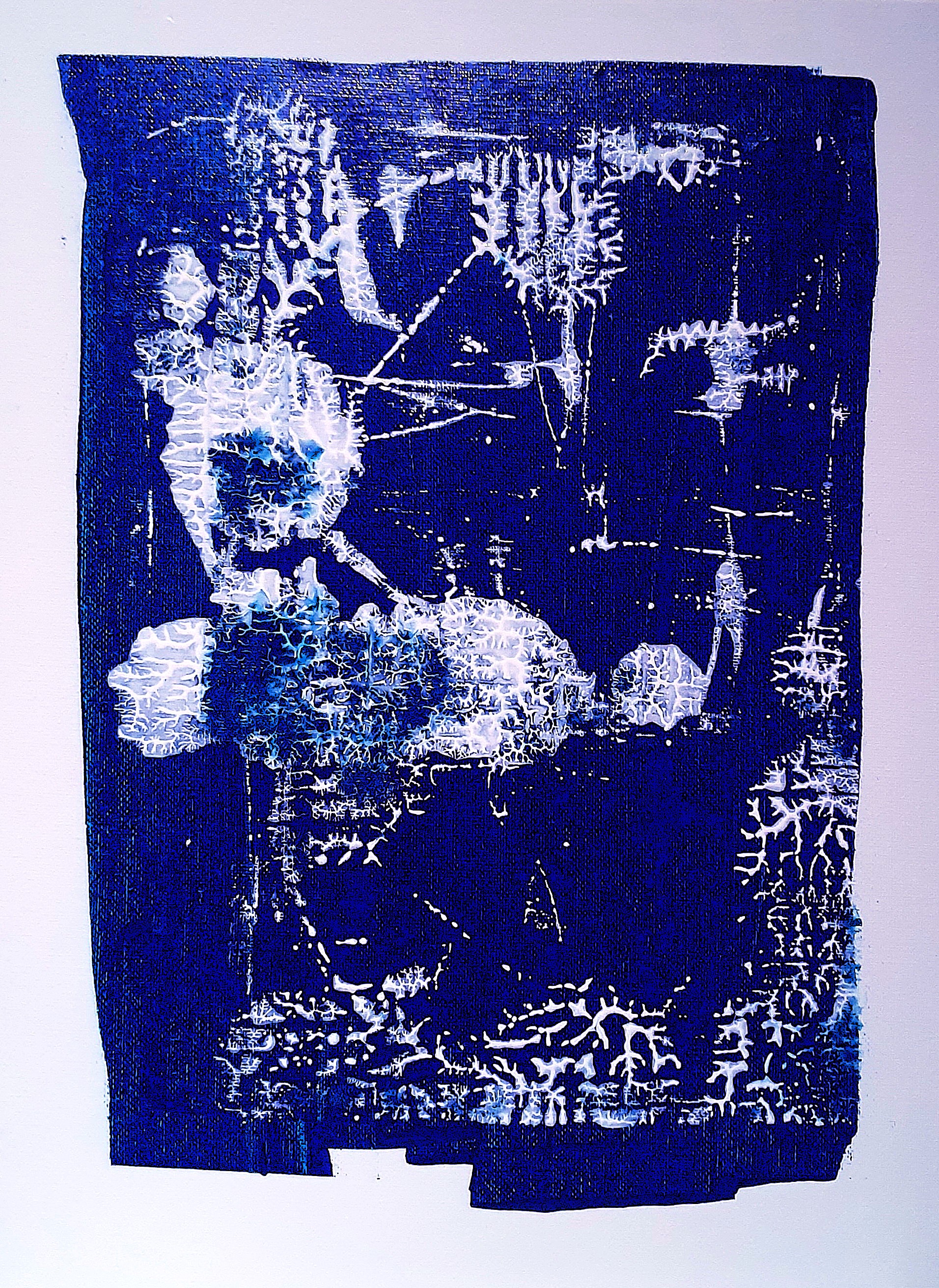 The Celestial Cat Holds Up a Cloud to Keep It from Crushing the Pelican