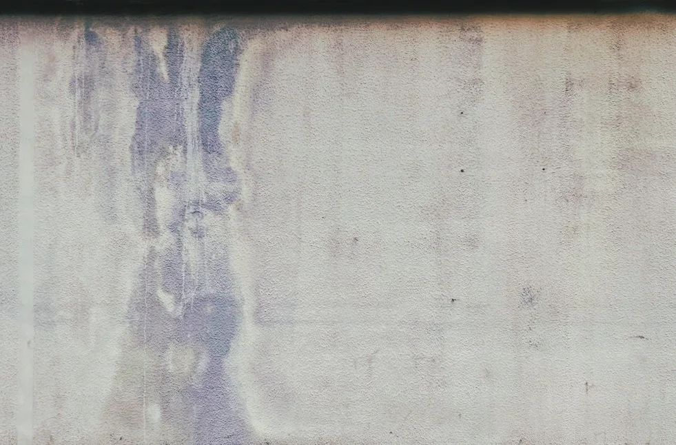A very sad Donkey